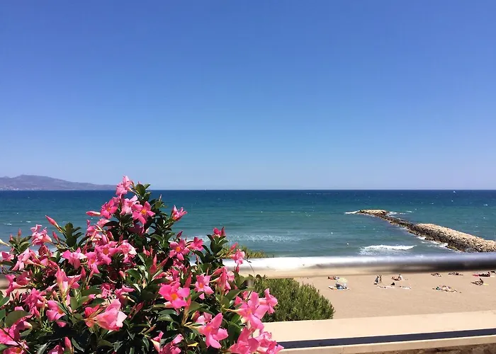 Apartaments La Palmera